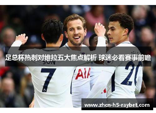 足总杯热刺对维拉五大焦点解析 球迷必看赛事前瞻 足总杯热刺对维拉五大焦点解析 球迷必看赛事前瞻