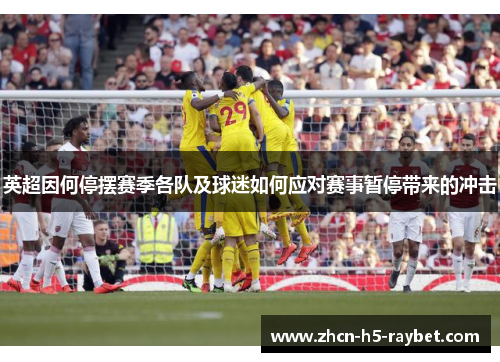 英超因何停摆赛季各队及球迷如何应对赛事暂停带来的冲击