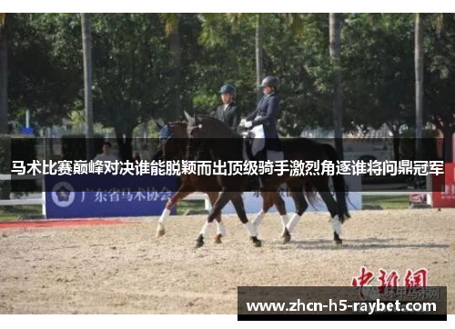 马术比赛巅峰对决谁能脱颖而出顶级骑手激烈角逐谁将问鼎冠军