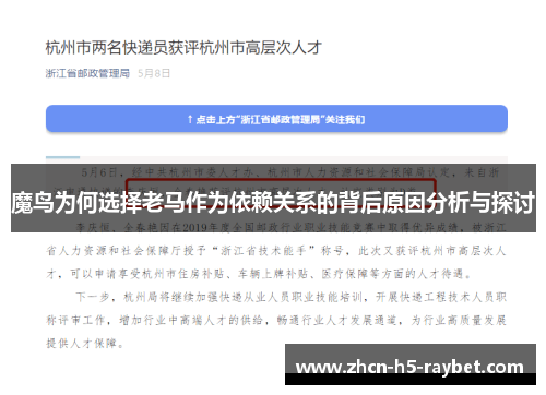 魔鸟为何选择老马作为依赖关系的背后原因分析与探讨 魔鸟为何选择老马作为依赖关系的背后原因分析与探讨